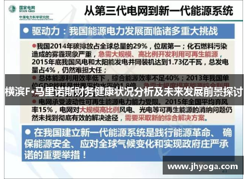横滨F·马里诺斯财务健康状况分析及未来发展前景探讨